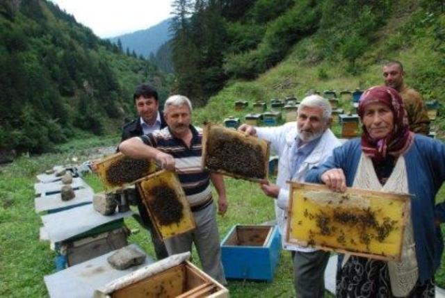 افضل مصانع العسل في تركيا